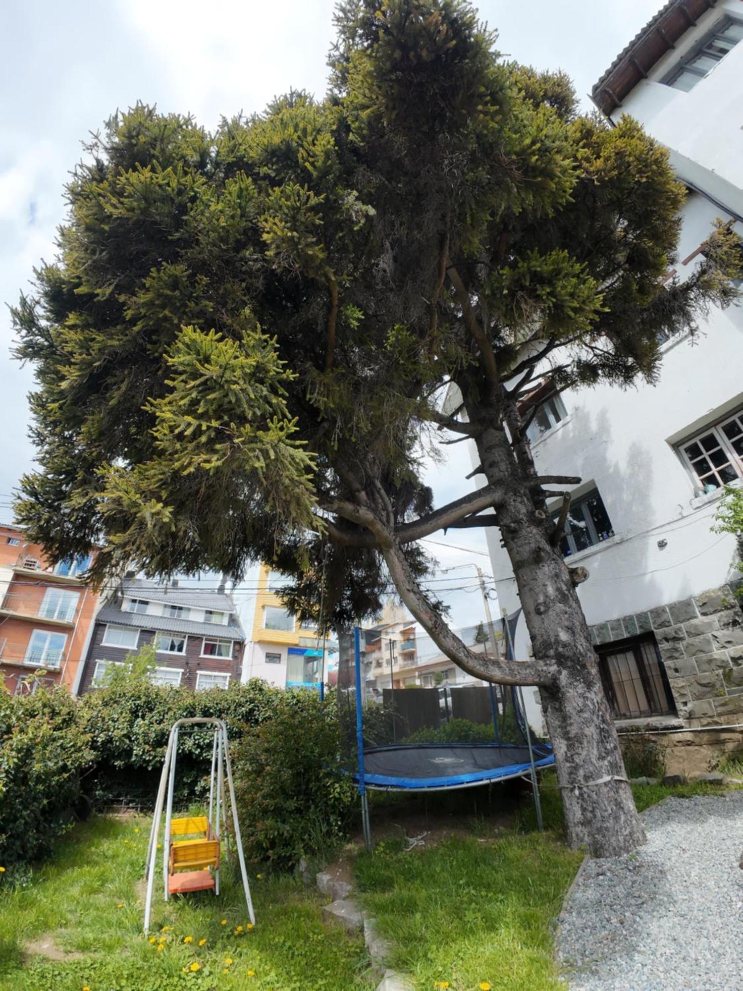 Temiscira Hostel San Carlos de Bariloche Kültér fotó