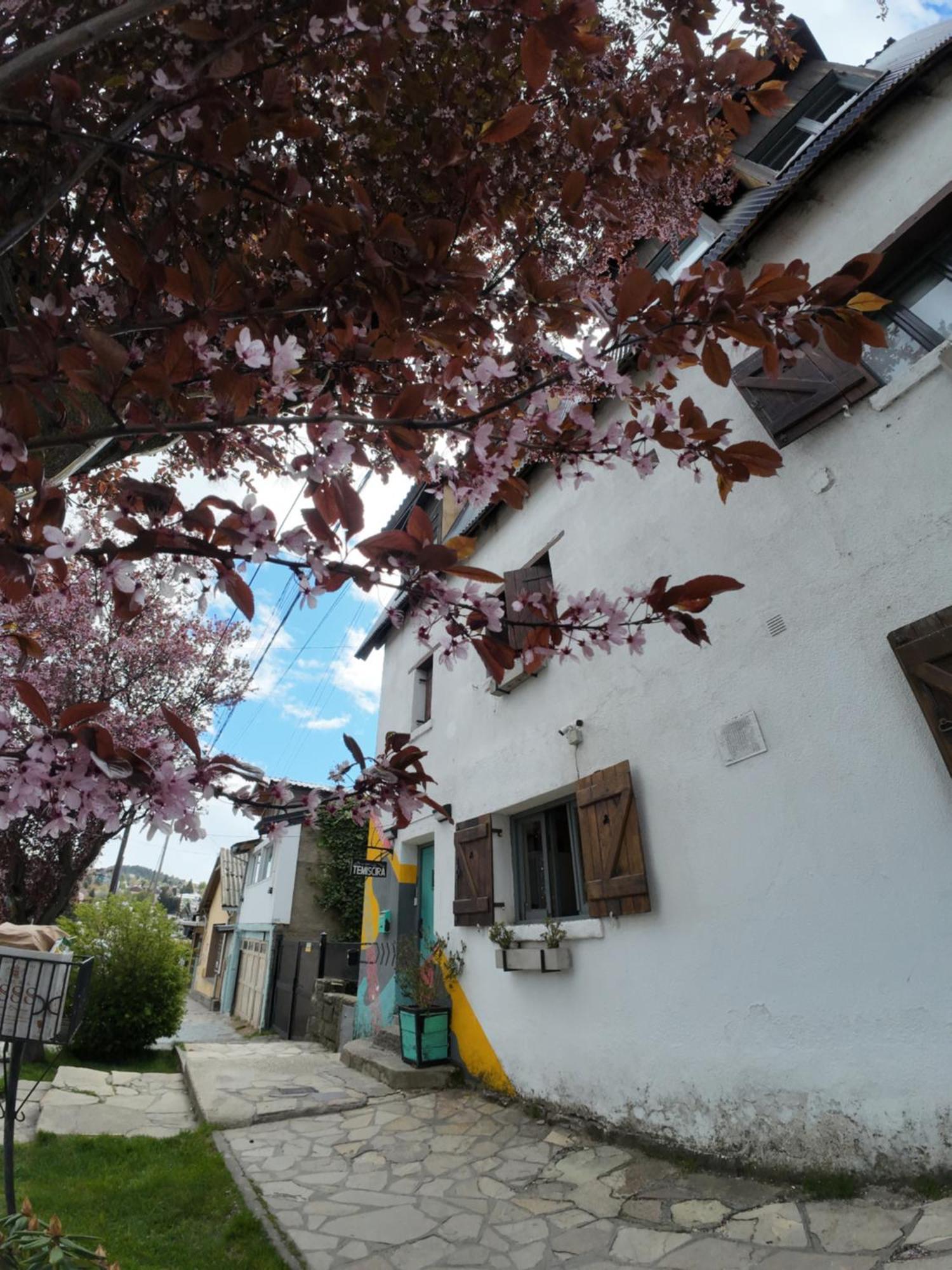 Temiscira Hostel San Carlos de Bariloche Kültér fotó